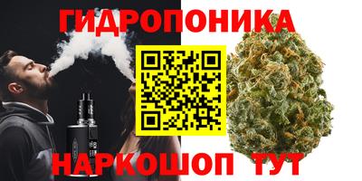 ALPHA PVP Малгобек