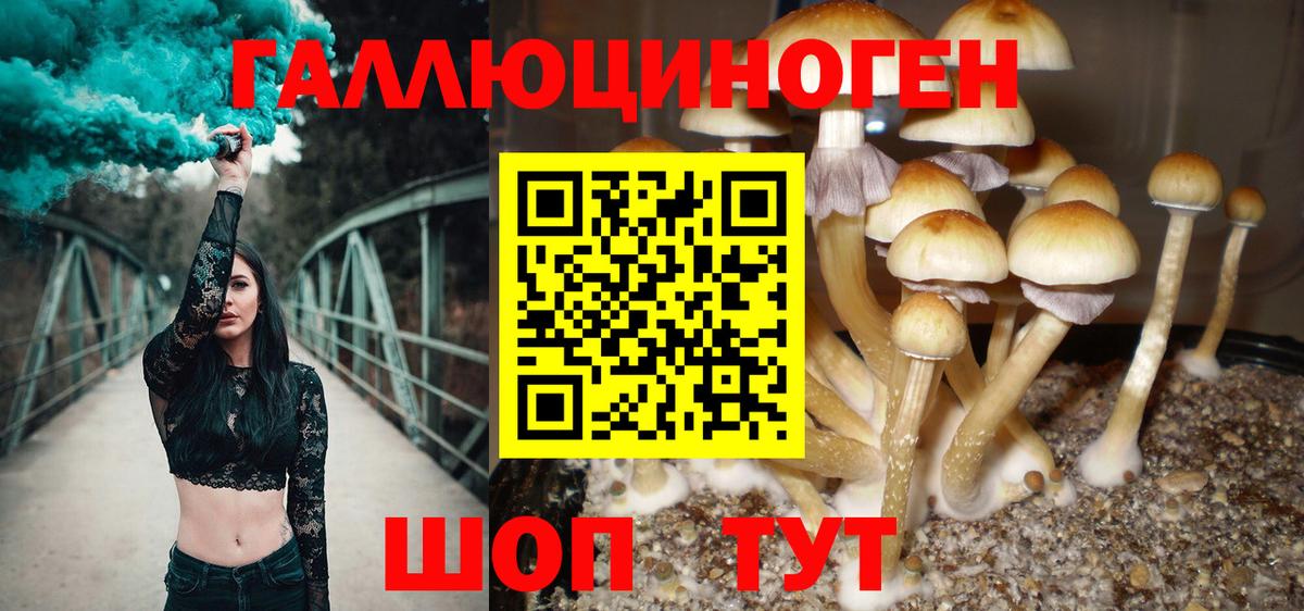Псилоцибиновые грибы Cubensis Верхняя Салда